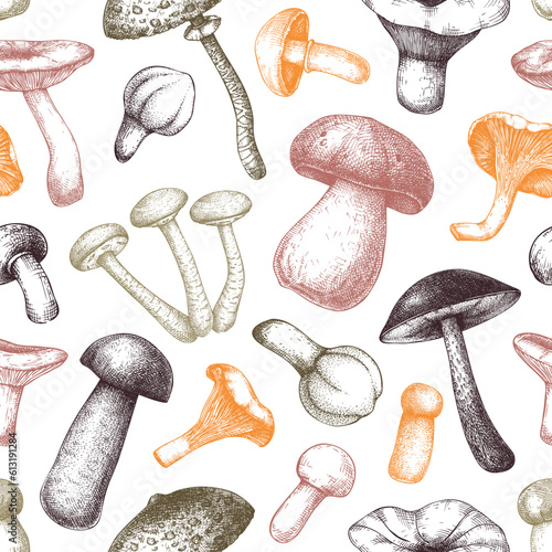 Edible mushrooms seamless pattern. Hand drawn food background in color. Forest plants sketches for recipe, menu, label, icon, packaging. Vintage fungi texture design. Botanical illustration