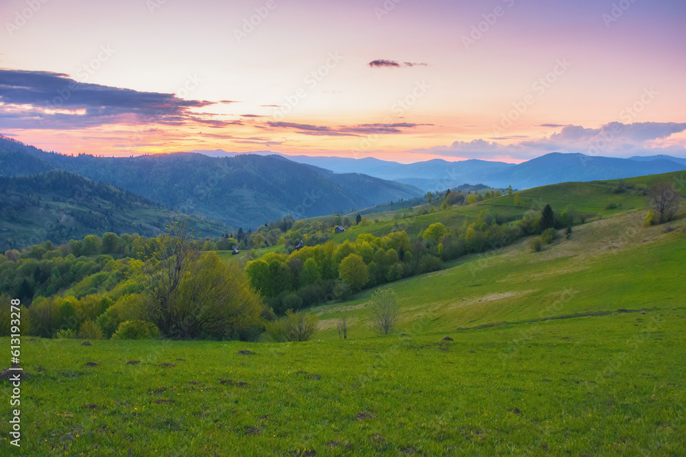 Fototapeta premium countryside scenery with meadow in mountains. springtime landscape at sunset
