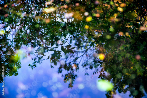 Fotografía uno specchio d'acqua simile al cielo.