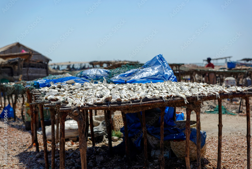 Séchage du poisson dans un village de pêcheurs