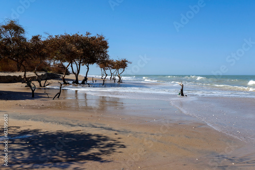 Plage sauvage au Sénégal photo