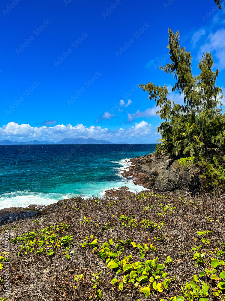 Fototapeta premium A wave crashing on a volcanic rock in the Seychelles