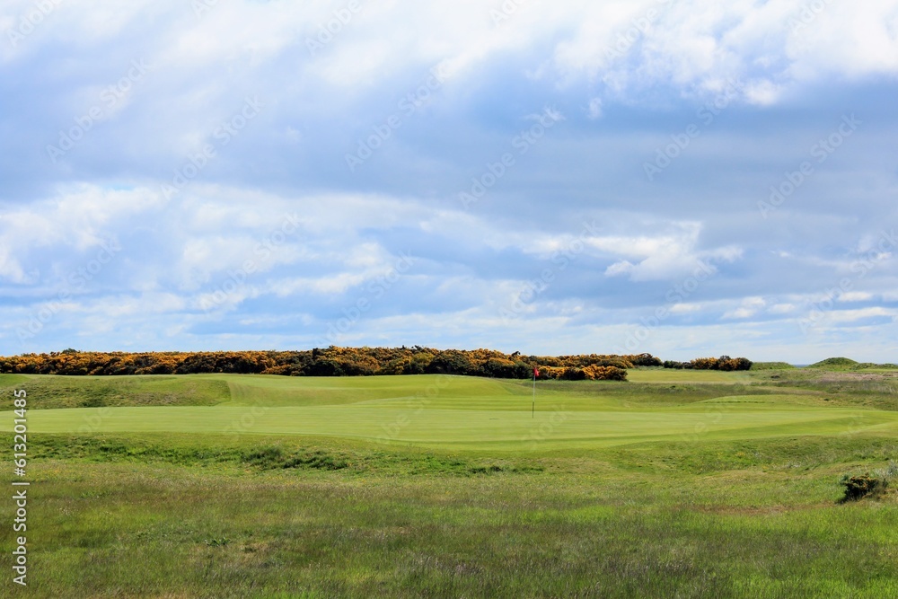 An incredible view of a golf hole in Scotland with the ocean in the background in Dornoch, in the highlands of Scotland during spring with the gorse bush in full yellow bloom