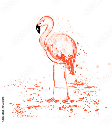 Flamingo watercolor vector tropic bird with splash color