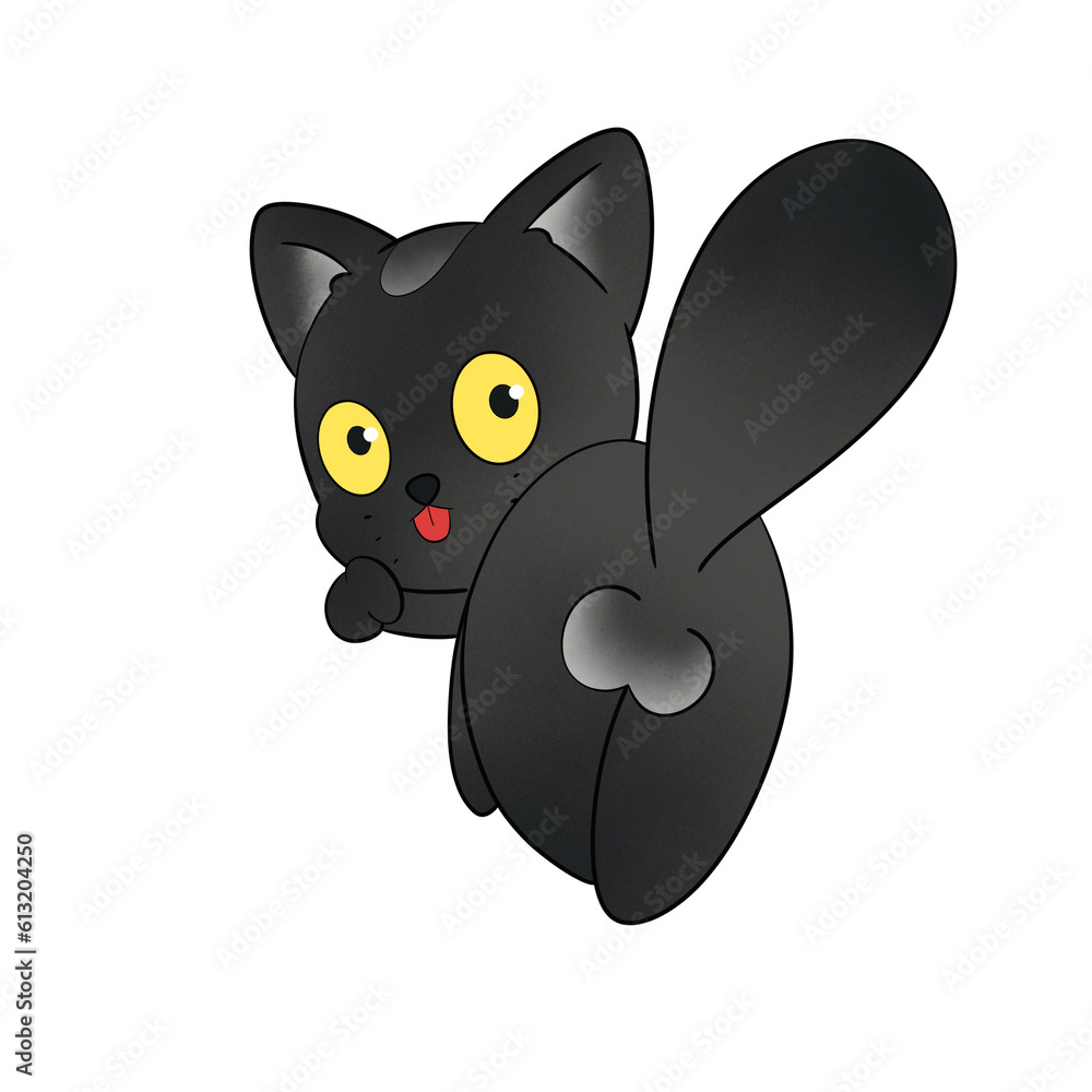 Black cat Black cat