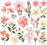 watercolor floral illustrations, botanical art, nature-inspired paintings vibrant floral art