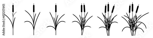 Set Of Reed Silhouettes