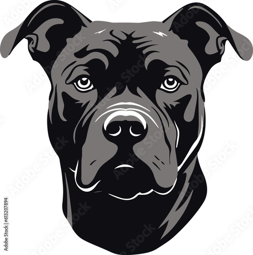 American Pitbull dog face isolated on a white background, Vector, Illustration, SVG	