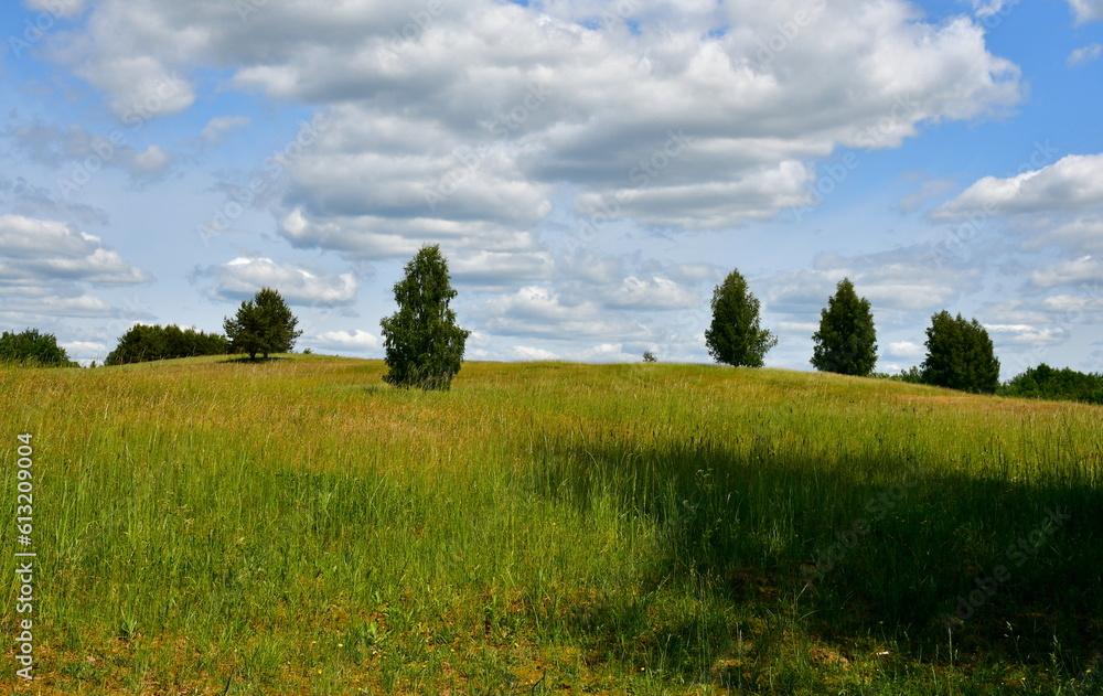 Fototapeta premium A view from the top of a tall hill covered with grass, herbs, and other flora showing some vast fields, meadows, pasturelands, forest,moors, and a tall hill with some flags on top of it seen in summer