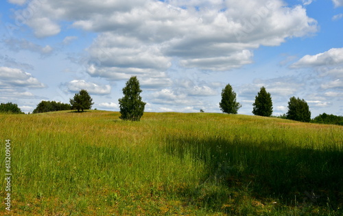 A view from the top of a tall hill covered with grass  herbs  and other flora showing some vast fields  meadows  pasturelands  forest moors  and a tall hill with some flags on top of it seen in summer