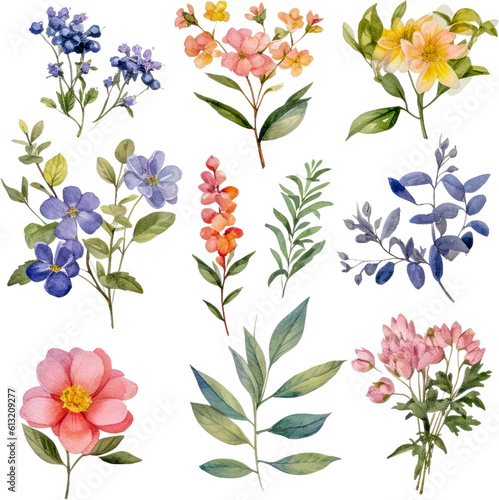 Wildflower paintings  floral art  watercolor painting inspiration