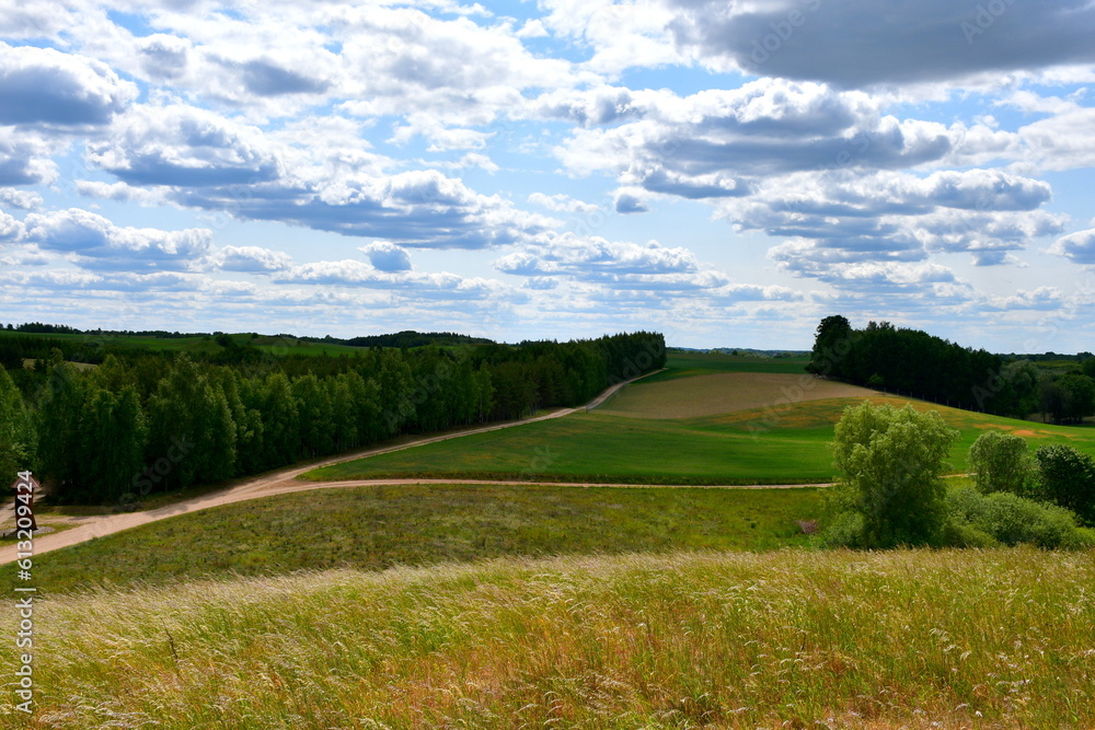 A view from the top of a tall hill covered with grass, herbs, and other flora showing some vast fields, meadows, pasturelands, forest,moors, and a tall hill with some flags on top of it seen in summer