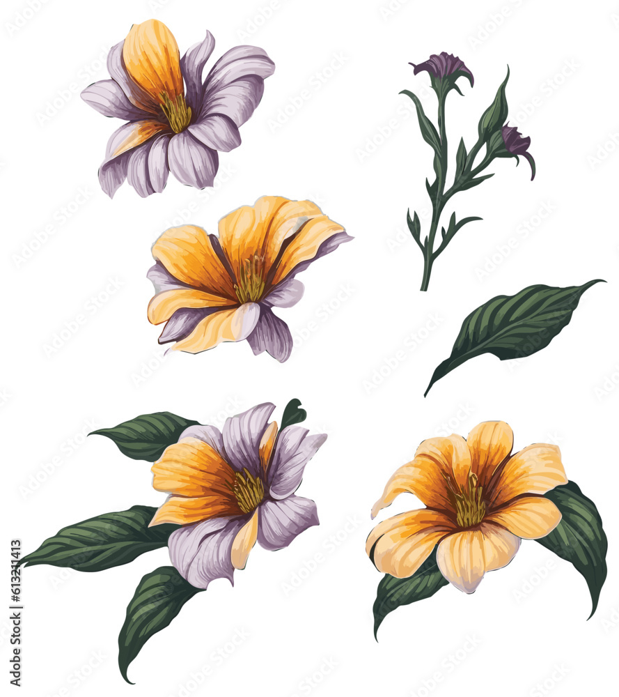 Cartoon Calibrachoa flower , clip art , vector , illustration Cartoon Calibrachoa flower , clip art , vector , illustration