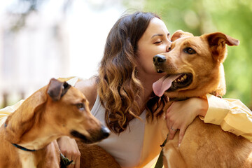 Charming young smiling girl plays and hugs two golden-colored dogs in the park on a sunny day. Love between owner and pet. Raising pets taken from a shelter. Close-up.