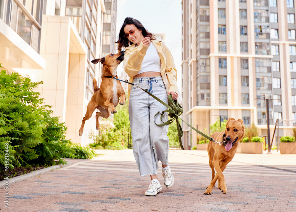 Charming young smiling girl on a walk with two golden-colored dogs outdoors on a sunny day. The girl plays with pets. Love between owner and pet. Raising pets taken from a shelter. Charming young smiling girl on a walk with two golden-colored dogs outdoors on a sunny day. The girl plays with pets. Love between owner and pet. Raising pets taken from a shelter.