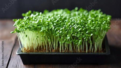 Green pea microgreen shoots arranged on a sleek black wooden tabletop. Generative AI
