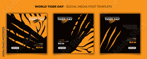 Set of social media template with tiger and tiger scratch background for tiger day design