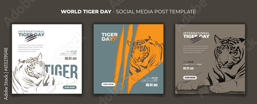 Set of social media post template for international tiger day design