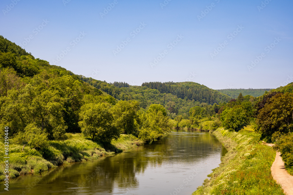 Fototapeta premium typical generic view of a slow flowing river in the forest wilderness in Summer