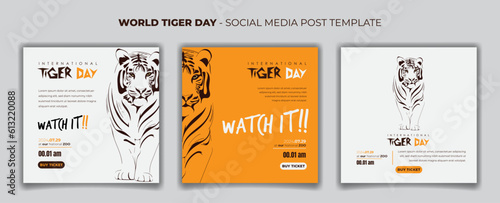 Set of social media post template with walking tiger in hand drawn design for tiger day campaign