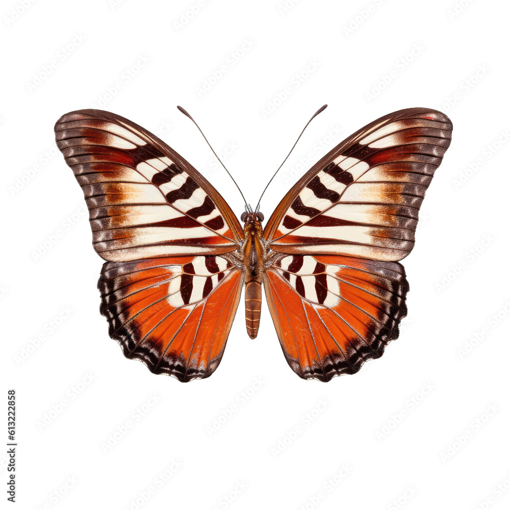 Chestnut tiger butterfly - Parantica sita. Transparent PNG. Generative AI Chestnut tiger butterfly - Parantica sita. Transparent PNG. Generative AI