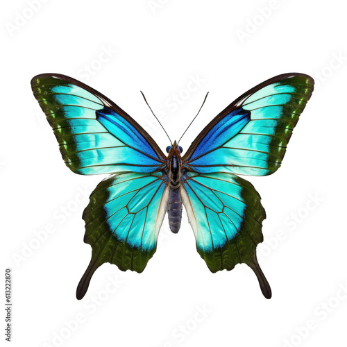 Common bluebottle butterfly - Graphium sarpedon. Transparent PNG. Generative AI