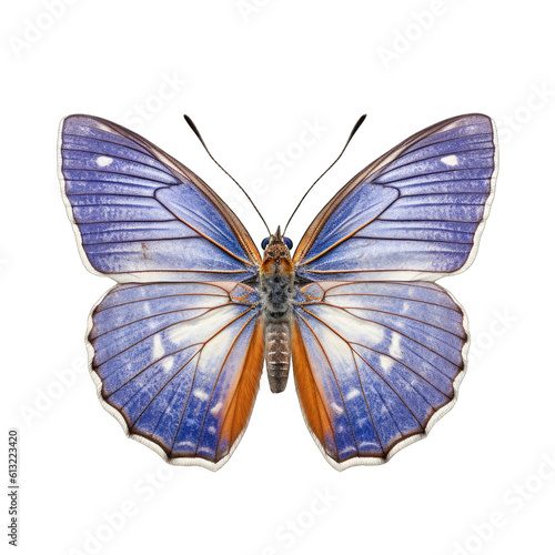 Western pygmy blue butterfly -  Brephidium exile 3. Transparent PNG. Generative AI © Razvan