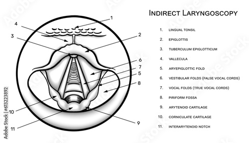 illustration indirect laryngoscopy vector sketch drawing eps 10
