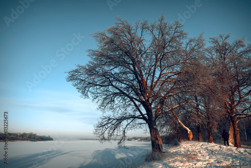 a winter landscape with a snow covered river bank, trees covered with hoarfrost, and the rising sun over the river