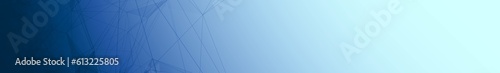 Blue white gradient web banner background. Fantasy abstract technology, engineering and science backplate with particles and plexus connected lines. Wireframe 3D illustration and copy space