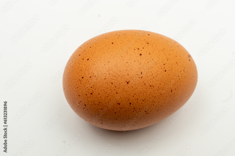 egg on white background
