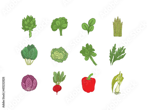 Vegetable Illustration for Food Industry