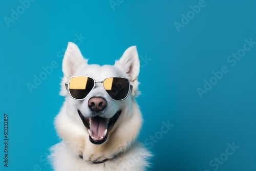 dog pet funny isolated smile animal yellow background sunglasses cute portrait. Generative AI.