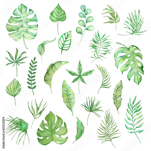 Watercolor bright green tropical leaves, for summer designs