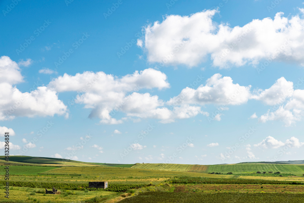 Farm fields as background in Trapani, Sicily, Italy