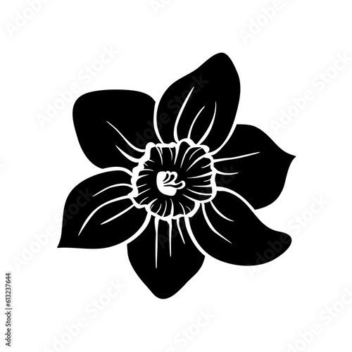 Narcissus flower blossoming bud isolated on white. Silhouette of daffodil, hand drawn minimalistic sketch. Vector decorative element for Easter or romantic design, nature and botanical illustration.
