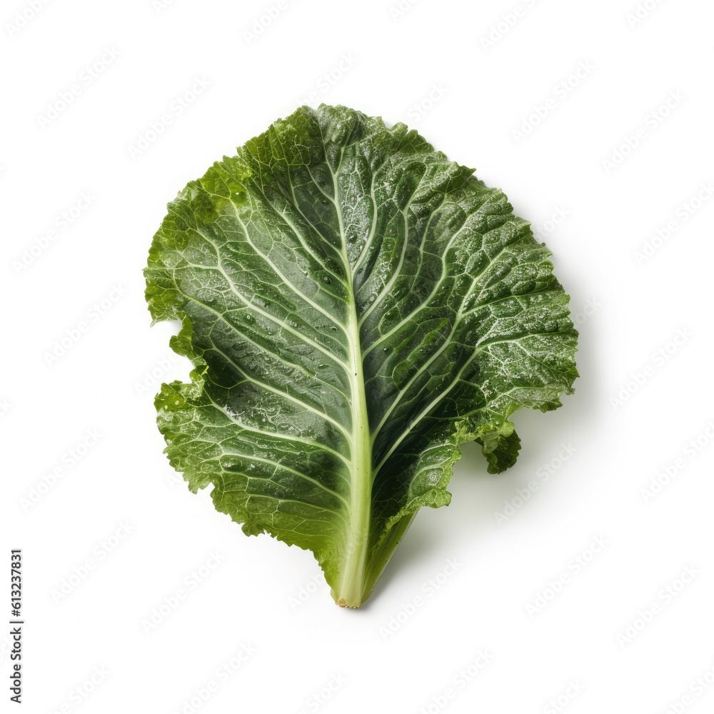 Turnip greens leaf isolated on white background. Generative AI Turnip greens leaf isolated on white background. Generative AI