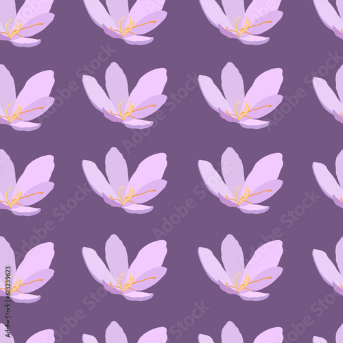Collection of crocuses and saffrons. A set of spring purple, yellow and white crocuses. Vector illustration of beautiful multicolored flowers