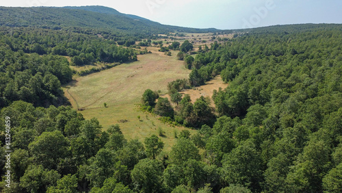 Tableau sur toile Drone view from forest scenery in Gargano Nationalpark in Italy