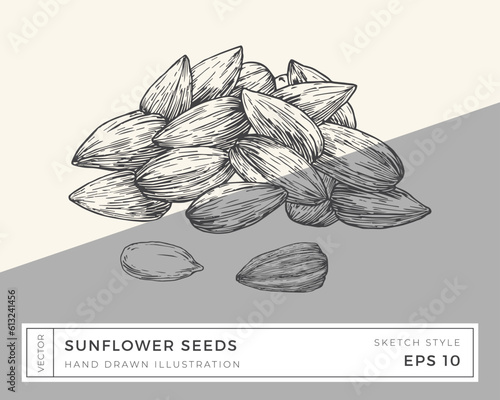 Hand Drawn Vector Sunflower Seeds Illustration. Vegan Based Food Drawing with Colorful Background Isolated