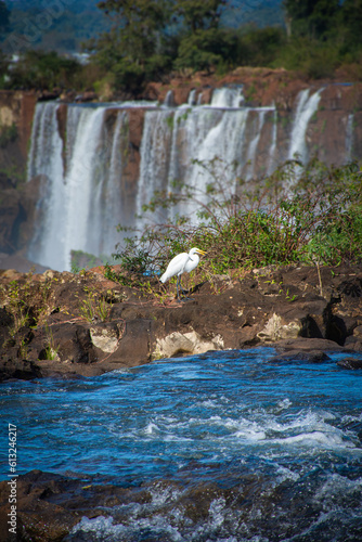 Cataratas del Iguaz    Arg. 