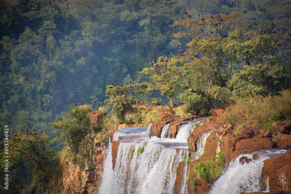 Fototapeta premium Cataratas del Iguazú (Arg.)