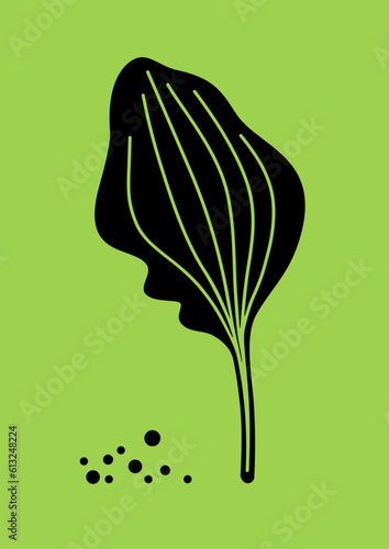 Plantain. Black silhouette of plantain leaf, medicinal herb. Vector illustration isolated on green background.