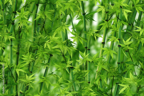 Serene Green Bamboo Background