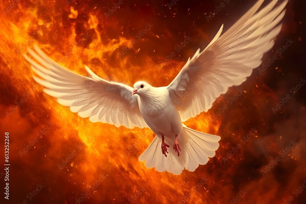 Pentecost Sunday. Flying white dove in fire background. Symbol of the