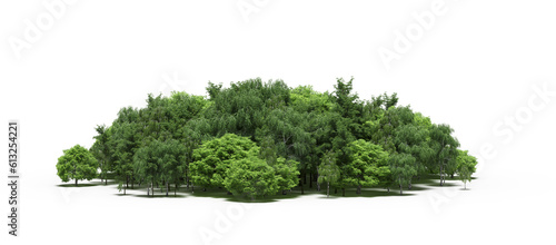 group of trees with a shadow on the ground  isolated on a white background  trees in the forest  3D illustration  cg render
