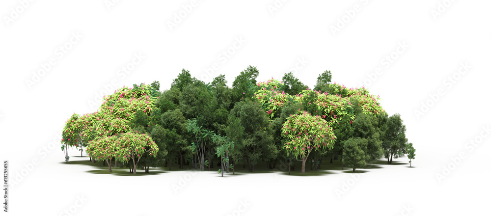 group of trees with a shadow on the ground, isolated on a transparent background, trees in the forest, 3D illustration, cg render group of trees with a shadow on the ground, isolated on a transparent background, trees in the forest, 3D illustration, cg render