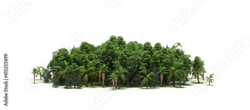 group of trees with a shadow on the ground  isolated on a transparent background  trees in the forest  3D illustration  cg render