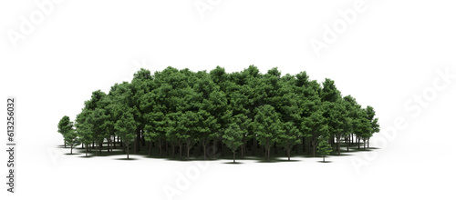 group of trees with a shadow on the ground, isolated on a transparent background, trees in the forest, 3D illustration, cg render