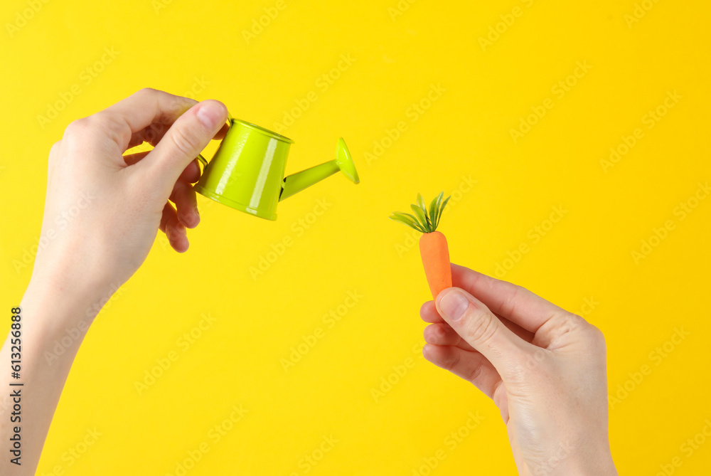 Hands holding a plastic miniature carrot and watering can on yellow background. Gardening
